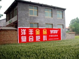 辰溪如何让墙体广告展现最大化效果