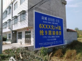 辰溪墙体广告质量分析