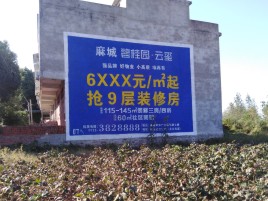 辰溪品牌公司青睐的墙体广告