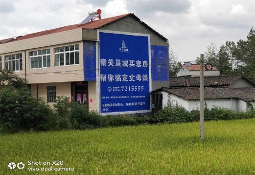 辰溪决定墙体广告价格的因素有哪些?