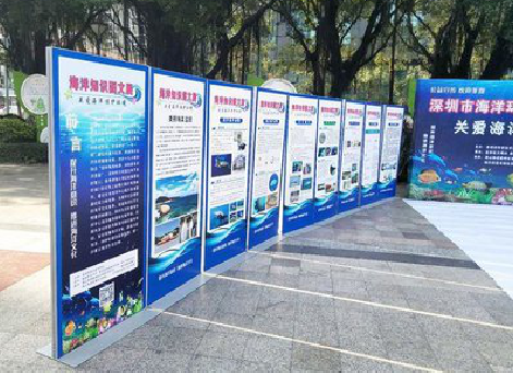 辰溪KT板的种类和知识。